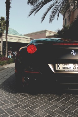 robert-dcosta:  Black Beauty || © || Facebook || InstagramCheck