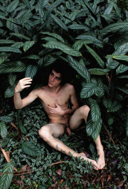 nude-men-in-nature:  
