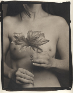 Ray Bidegain Maple Leaf and Female Nude  