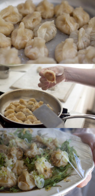 veganinspo:  Golden Potstickers 