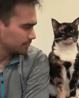 googifs:  A man and their cat