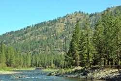 smokingweed:  river bowls (: such hot sun and perfect river water