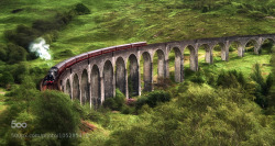 go4photos:  The Jacobite crossing Glenfinnan Viaduct by annie7