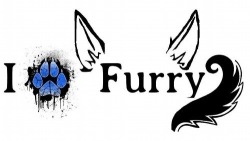 thegalaxyfoxx:  Furry Fur Life! 