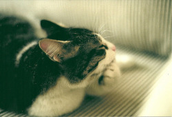 grett:  untitled by rosenoid on Flickr. 