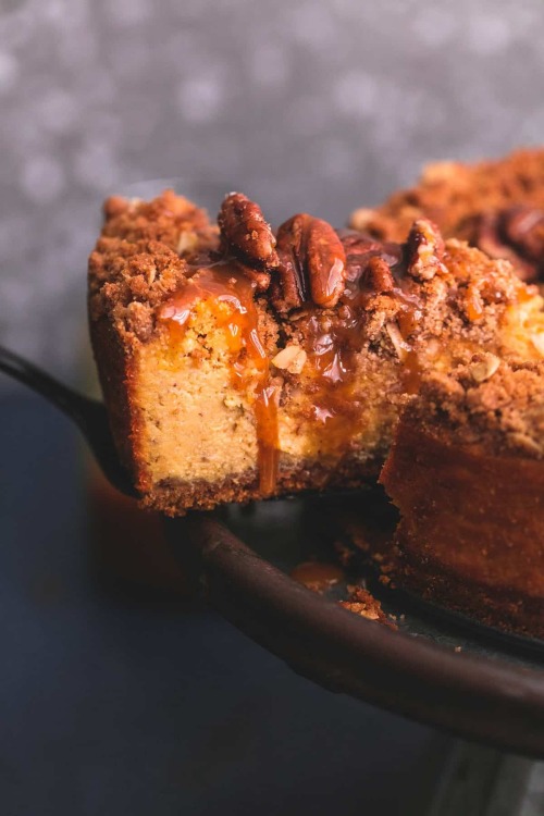 daily-deliciousness:  Caramel pecan pumpkin cheesecake