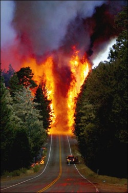 YOU … SHALL NOT … PASS!! (Forest fire near Lake