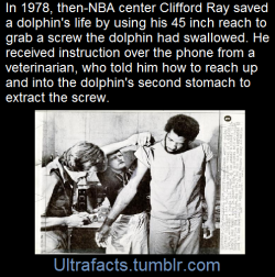 ultrafacts:  (Fact Source) Follow Ultrafacts for more facts!