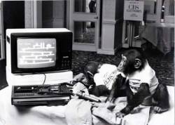 Chimps playing Donkey Kong on ColecoVision 