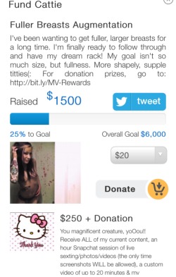 cattie-of-godsgirls:  25% of my goal has been reached!! 25%+