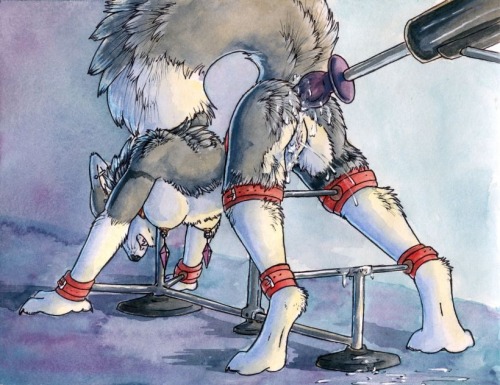 cartergamegeekafterdark:  fuzzydragonz:  Squirting for anonymous ^_^  I thought you guys would enjoy some sexy squirting anthro girls.
