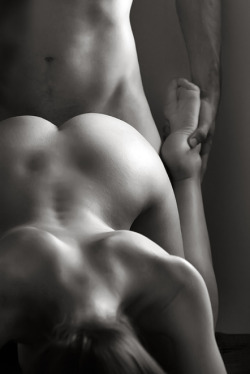 antoinedebeauvoir:  Surrender to the seduction 
