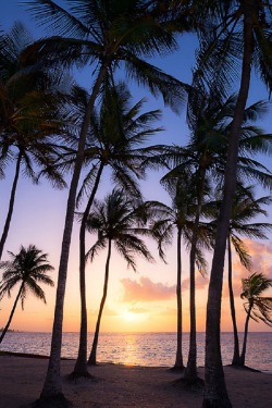 sublim-ature:  GuadeloupeStefan Hefele