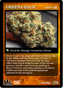 thatsgoodweed:  Kush Cards; Cannabis trading card game 