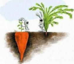 tomasczt:  success is not always what you see. 