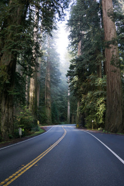 lvndscpe:Redwood Forest Drive, Bakersfield, United States | by