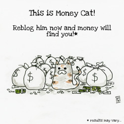 leesargent:  Money Cat is the soundest financial investment you