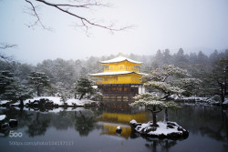 beautifuldreamtrips:雪妝金閣寺 │ Kyoto, Japan by lscott200