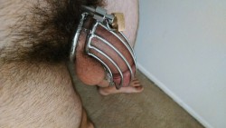 locked-kaidyn:My first cage… Almost 2 years ago already wow!