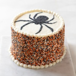 forever-october:  (via Platine Bakery Halloween Spider Cake |