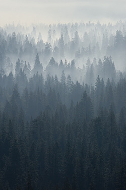 drxgonfly:  Yosemite morning - smoking valley (by Frederic Labaune)