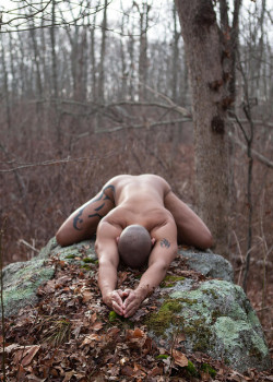 noodlesandbeef:  mischief1972:  Yoga on an early winter morning