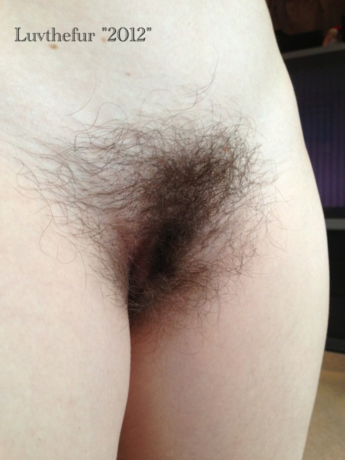 luvthefur:  My wifeâ€™s sweet bush! - 4  Coool arousing!