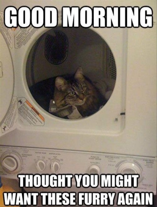 That should teach you to unload the dryer