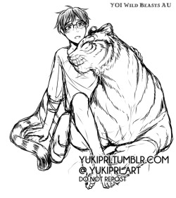 yukipri:  Yuuri & Literal Tiger!Yurio (big)from the YOI Wild