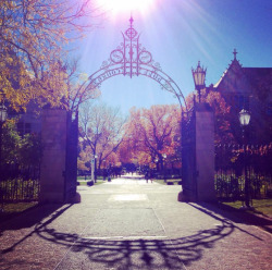 uchicagoadmissions:  #TBT: To warmer days. Photo credit: June