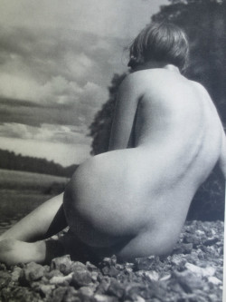 nudeforjoy:  realityayslum: Ergy Landau  Nude Study 1934 