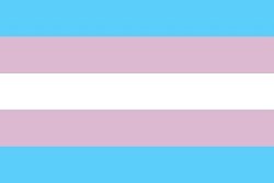 chipsngo: It’s Transgender Awareness Month.Also depending on
