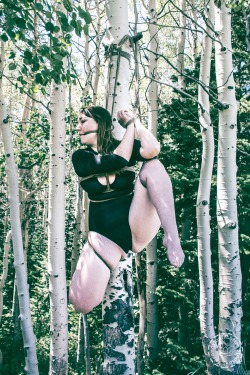 secondfloor-fet: @gaping-lotus suspended from a birch tree |