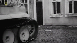 fuehrerbefehl:  Tiger Tank showing how to demolish a house.