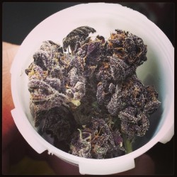 marijuanaporno:  Purple Nepal. Tag your kush! #marijuana #420