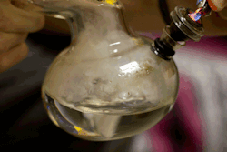 cannabisrelated:   Find Dope Ass Water Pipes At -> http://buycheapwaterpipes.com/