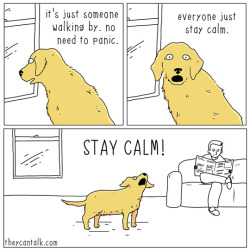 theycantalk:stay calm