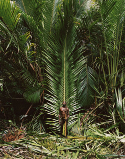 fredericlagrangephotography:  Kombai tribe hunter   |   DestinAsian   |   Irian Jaya, Indonesiafrédériclagrange.com