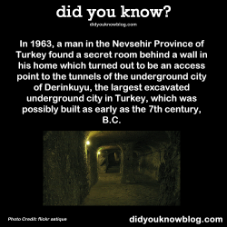 did-you-kno:  In 1963, a man in the Nevsehir Province of Turkey