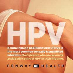 fenwayhealth:  Genital Human Papillomavirus (HPV) is the most