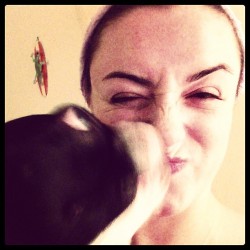 Being attacked ðŸ¾ðŸ¾ #boston #monster #rawr #kisses #bipolar #dog #barkbark #romeo #myonlylove