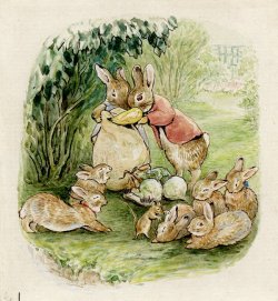 pagewoman:   The Tale of The Flopsy Bunnies   by Beatrix Potter