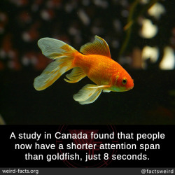 mindblowingfactz:  A study in Canada found that people now have