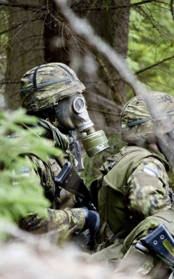 fnhfal:  Estonian soldiers 