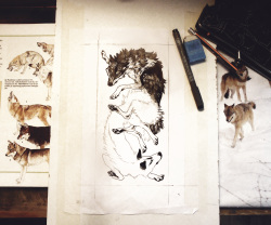 canisalbus:  I have a couple of wolves in progress. 