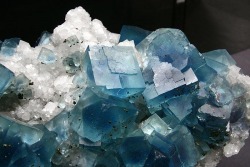 ggeology:  Fluorite // Le Burg Mine, Tarn, Midi-Pyrénées, France