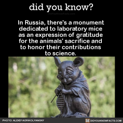did-you-kno:  In Russia, there’s a monument  dedicated to laboratory