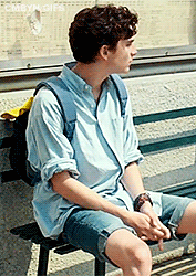 cmbyn-gifs:    elio perlman’s outfit in call me by your name (requested