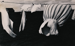 gacougnol:  Josef AlbersUntitled (Laundry on a Clothesline) c.