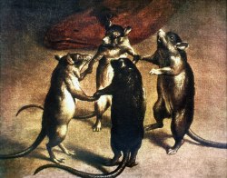  Plague, Dance of the Rats. 